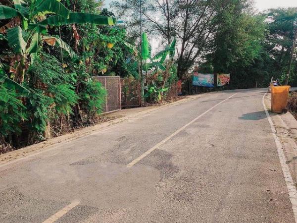 ������� �� kantapon4