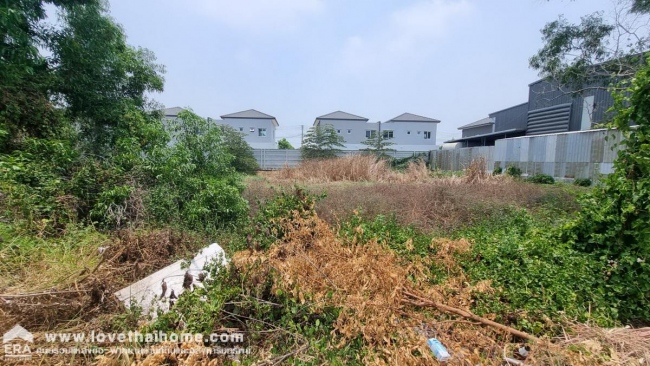 ���Թ˹�ҡ��ҧ ���١��