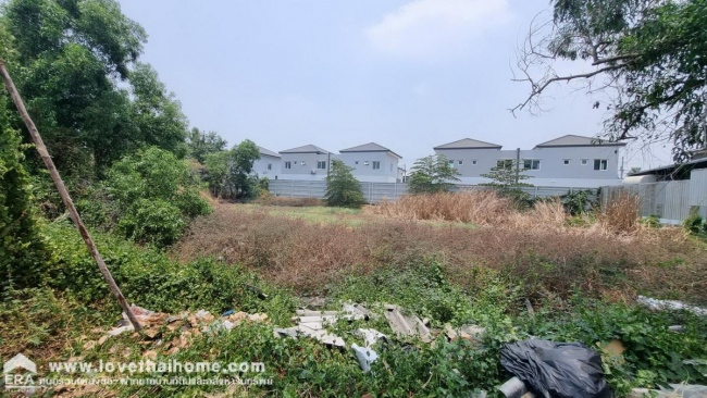 ���Թ�����������׹��� ���١��