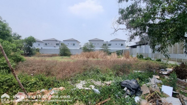 ���Թ�֡36���� ���١��