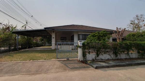 �Ң�ѭ �Ź�����