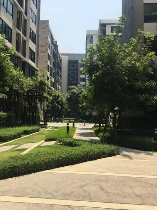 ��û�� �� sopa