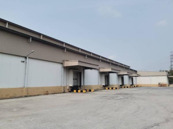 ⡴ѧ���ͧ �� 1000property