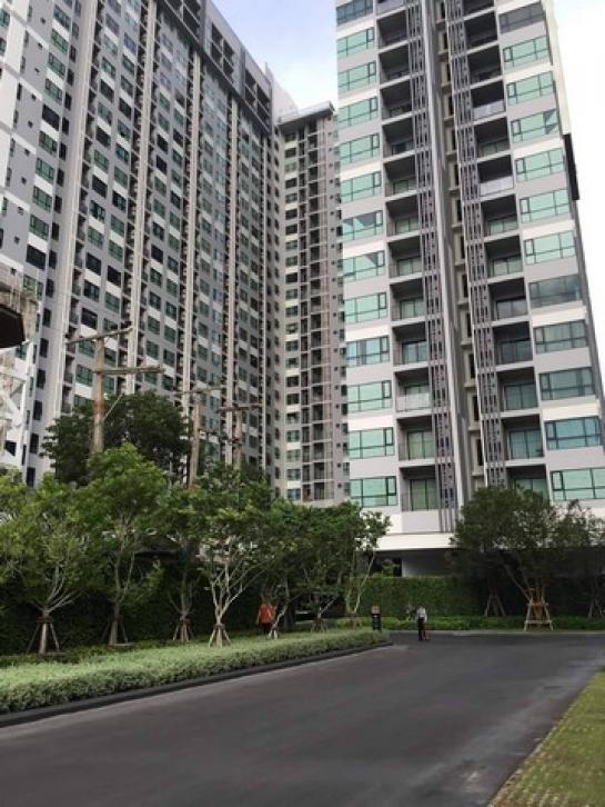 ��ªź��� �� sopa