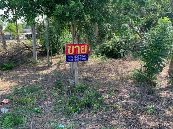 ��û�� �� sopa