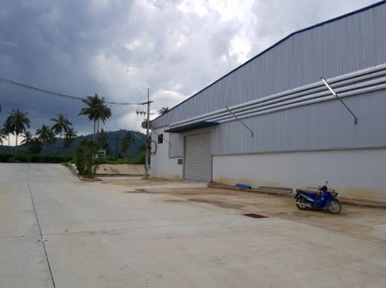 �ź��� �� joy namfon2