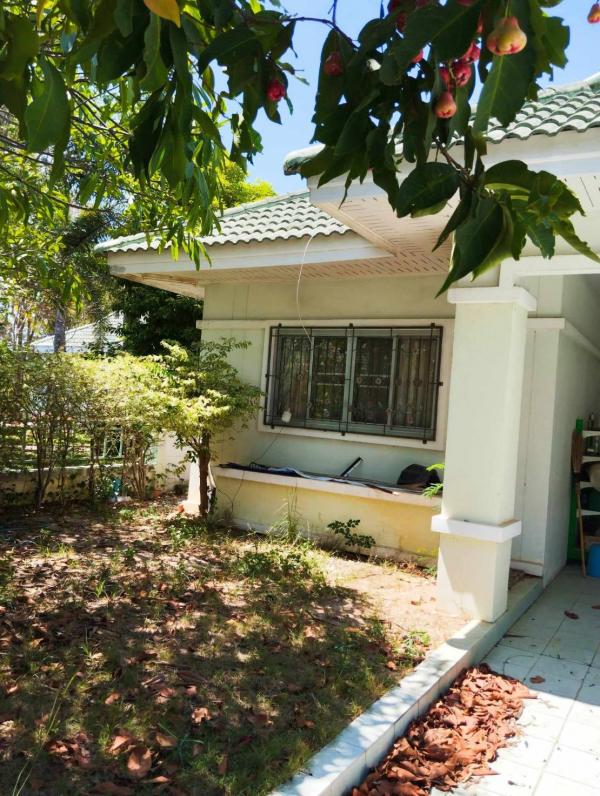 ��ҹ�ź��� �� rattana27