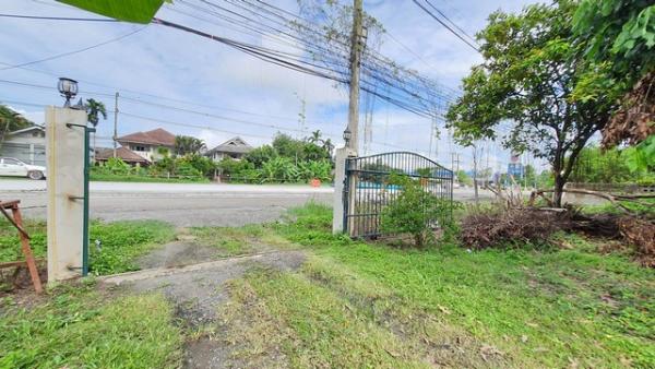 ���ͧ �� tayapornaik1