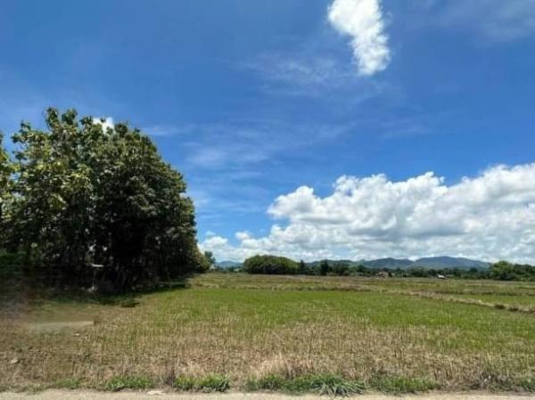 ���ͧ �� northern1