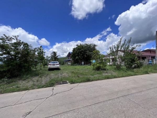 �ҡ��ͧ �� sopa