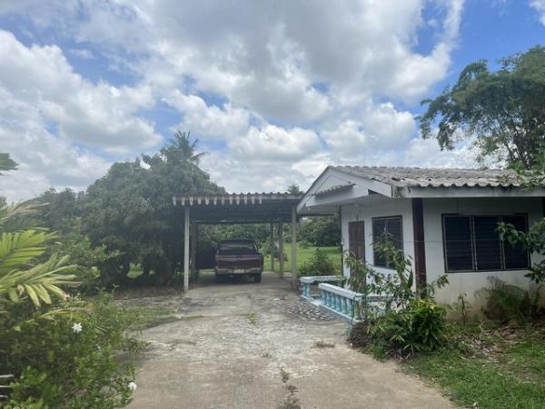 ���Թ����� �� tayapornaik1