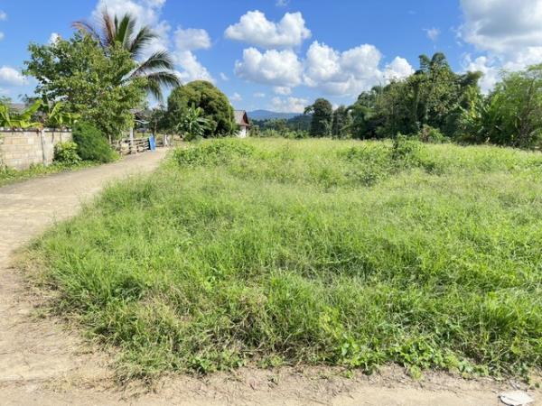 �����§��� �� Jyn Property