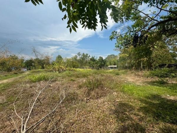 ���ͧ �� northern1