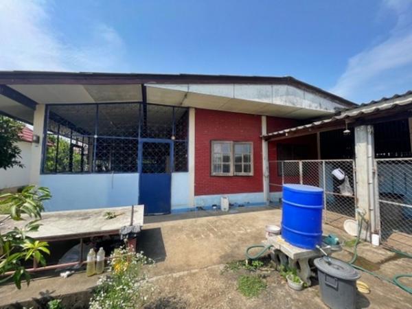 ��ҹ�ѹ���� �� compos2566