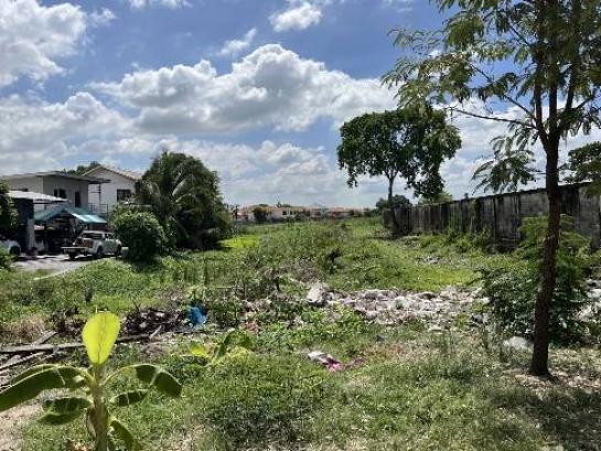 ���Թ 38 ���