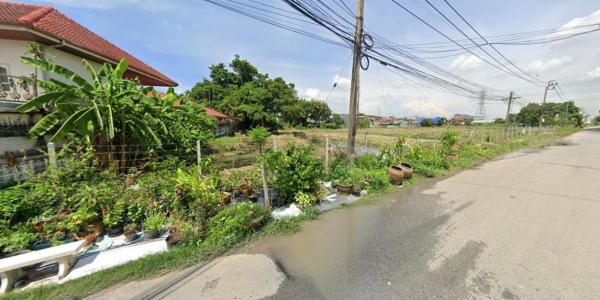 �ҧ�� �� HarrisonTH