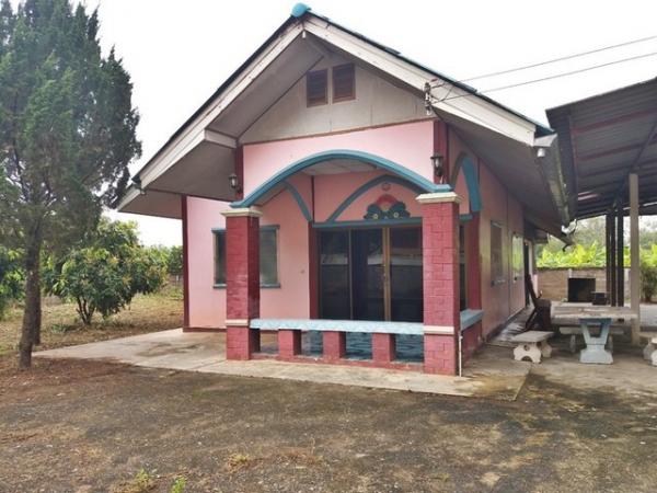 ��º�ҹ �ҧ ��§����