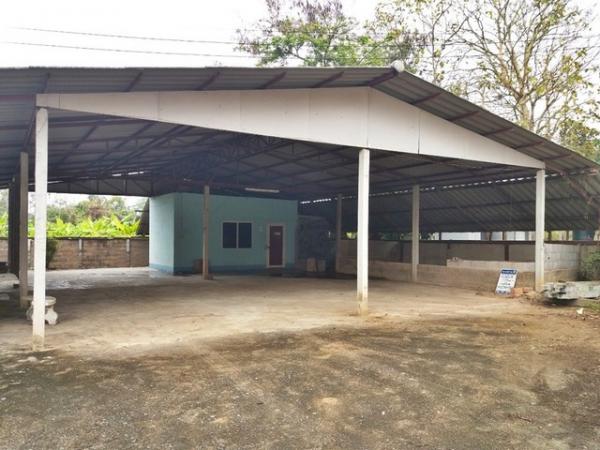 ��º�ҹ �ҧ ��§����