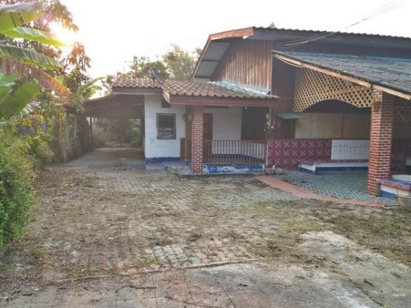 ��ҹ����� �� panaya.opalopal