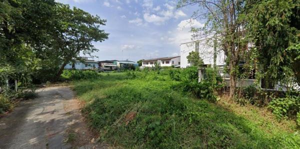 ���Ե �� HarrisonTH