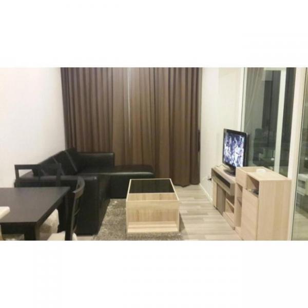 �͹���ͧ���� ����ͧ