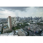 �͹� 29 ���ҧ����