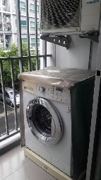 �͹� �ҧ�л� 29 ���ҧ����