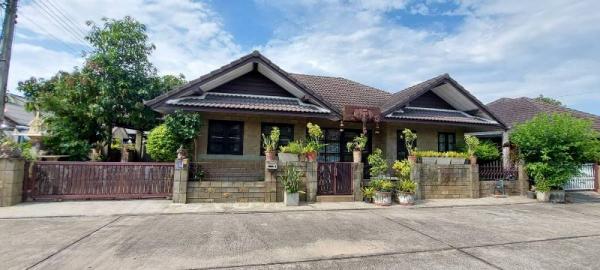 �Ң�ѭ �Ź�����