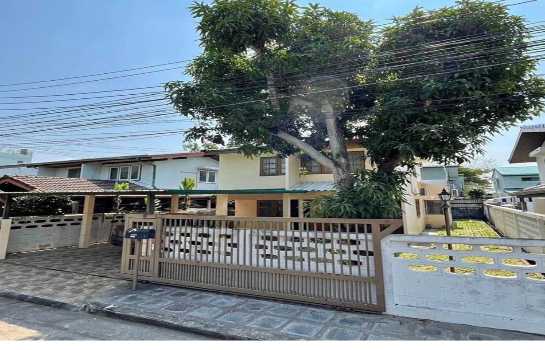 �س ��ѳ��