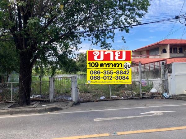 ��ا෾ �� zionasset1