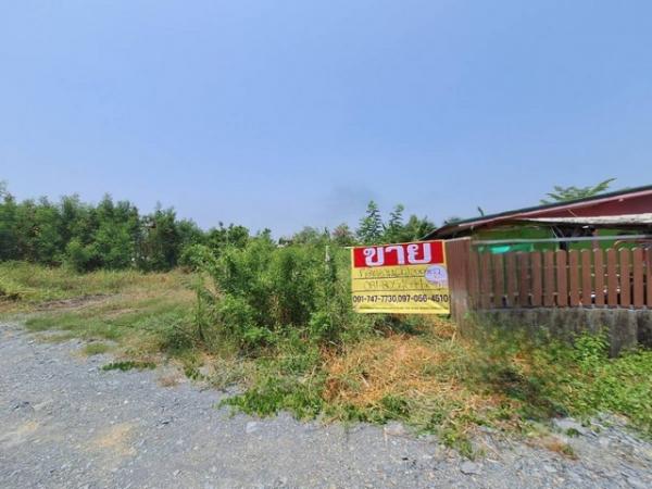 ������ �� zionasset1