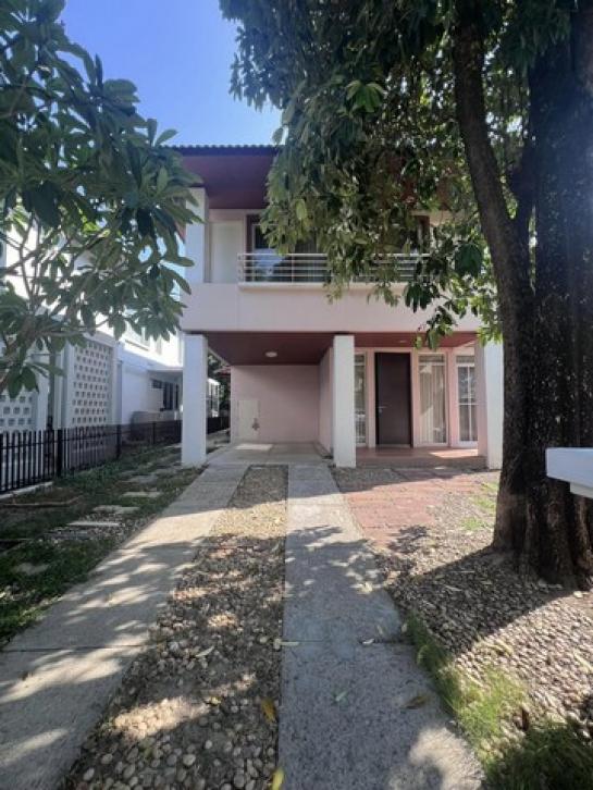 �ѧ�ͧ��ҧ �� asangha PL