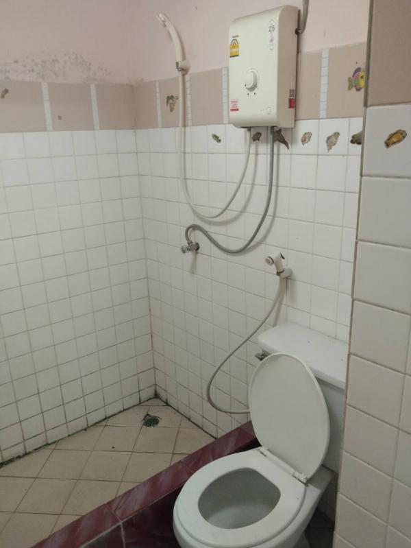 ��¤͹� �٤� �����ҹ�