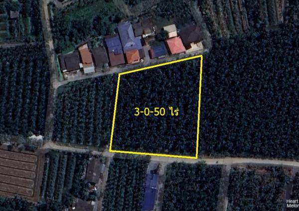 �����ҹ �� Patkorn