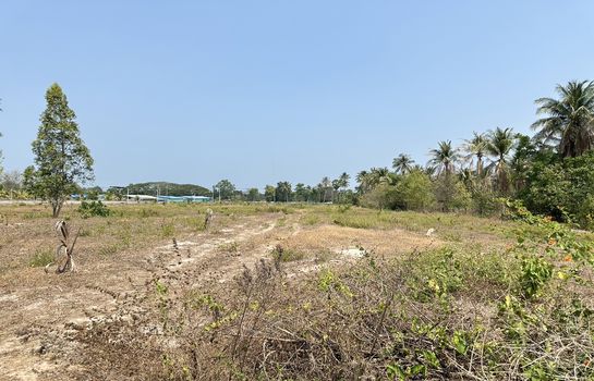 ��·��Թ 18,800,000 �ҷ