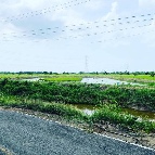 ��·��Թ �Ҥһ�С�Ȣ�� 6,285,000 �ҷ