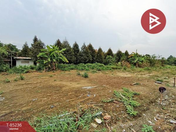 �ѹ����� �� The Best Property Agent