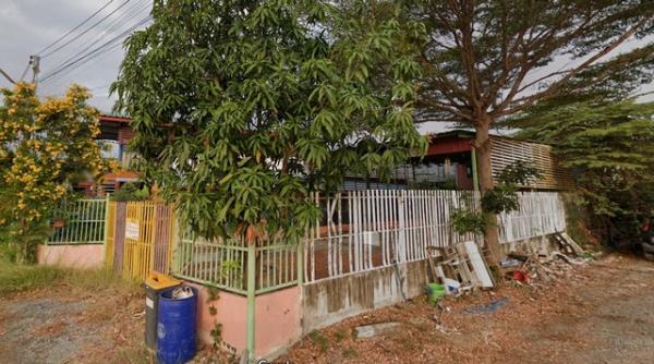 ��û�� �� compos2566