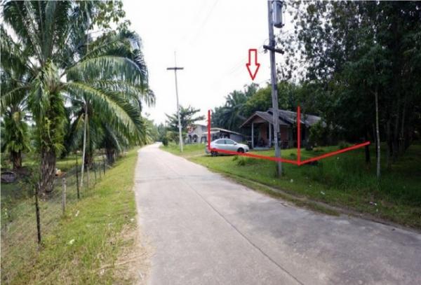 ��º�ҹ ����ѹ�ҡ�к��