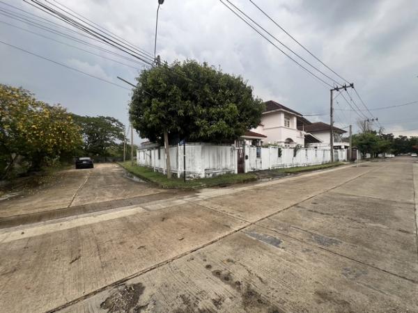 ���觪ѹ �� Jyn Property