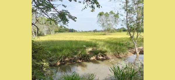 ���ͧ �� surachai promdirek