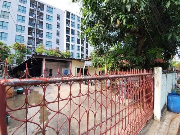 ��بѡ� �� ��ͼ��