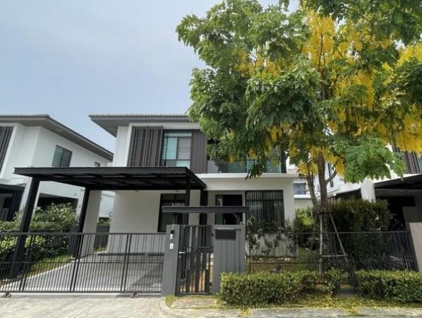 ��ҹ������ �� Nan