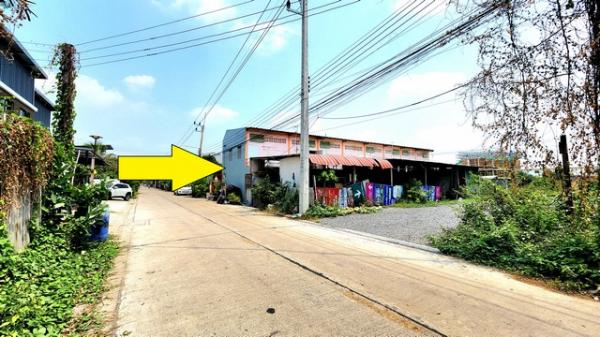 ���١�� �� janejane