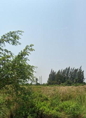 ��ط��Ҥ� �� room168sub