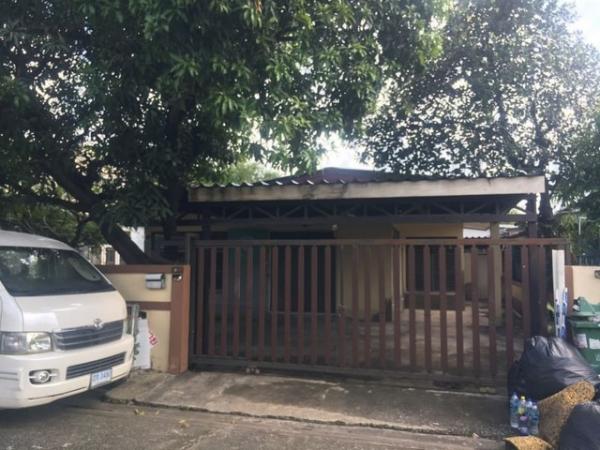 ��ҹ 55 ���ҧ��