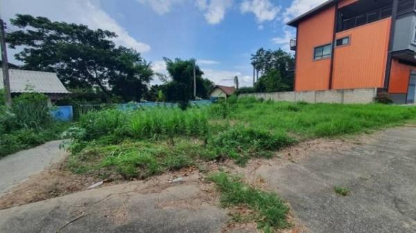 �ҧ�� �� northern1