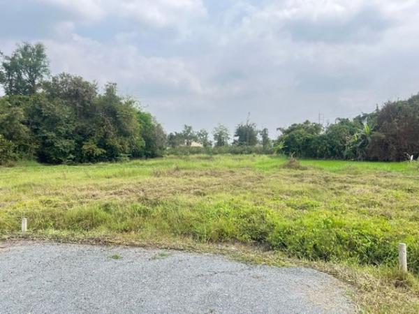 �ҧ�� �� onanong khumaphao