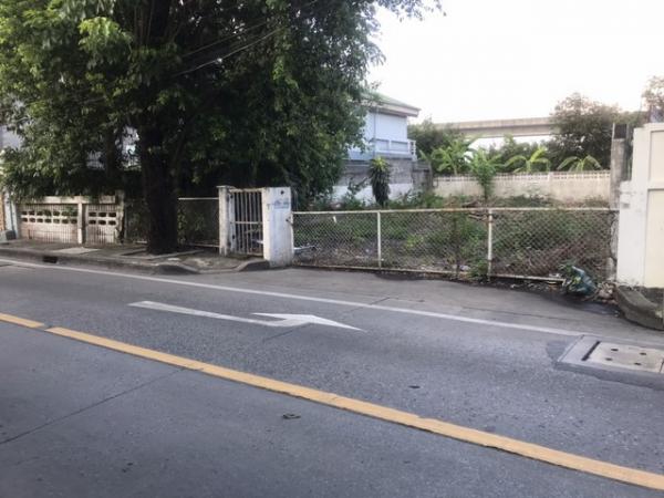 ขายที่ดิน Paradise ขายที่ดิน Paradise