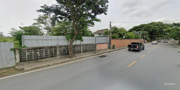 ���Թ�ҧ�� �� HarrisonTH